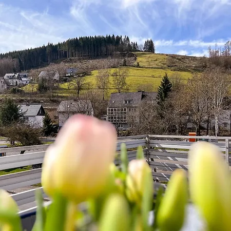 Silbach Panorama Winterberg